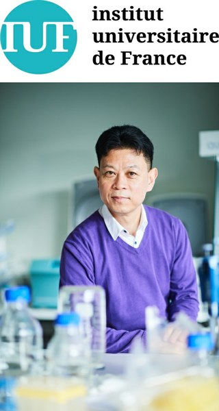 Bao-Lian Su, premier Président belge du Jury de l’Institut Universitaire de France !