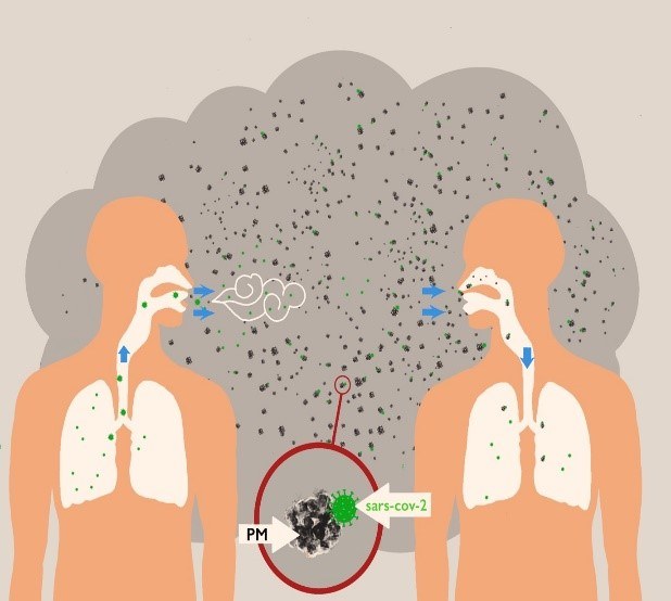 La transmission du SARS-CoV-2 accélérée par les particules fines ? Des chercheurs de l’UNamur se penchent sur la question