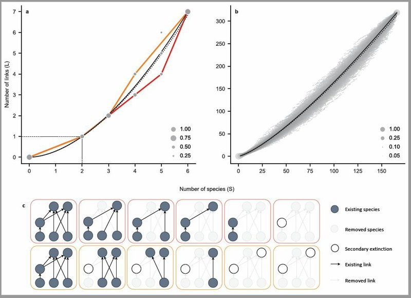 Une équation mathématique pour prédire l’évolution des écosystèmes - une publication dans Nature Ecology and Evolution