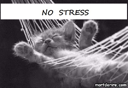 Etudiants, apprenez à gérer votre stress !