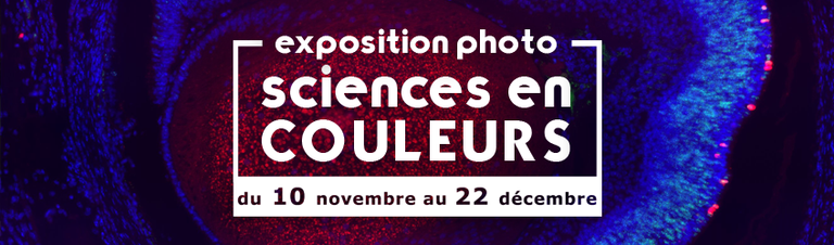 Sciences en couleurs - Votez pour votre photo préférée !