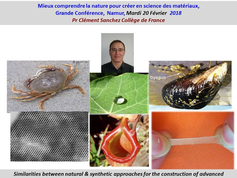 Conférence - Mieux comprendre la nature pour créer en science des matériaux