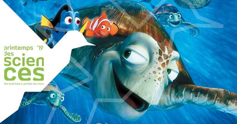 Ciné-découverte - 'Le Monde de Nemo'