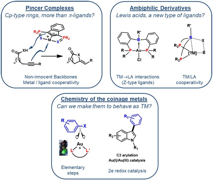 Conférence "Non-innocent Bifunctional Ligands for New Avenues in Pd and Au Chemistry" 