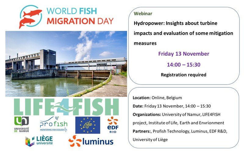 Webinaire - Hydropower plants on the routes of migrating fish / Poissons migrateurs et turbines hydroélectriques: le dilemme