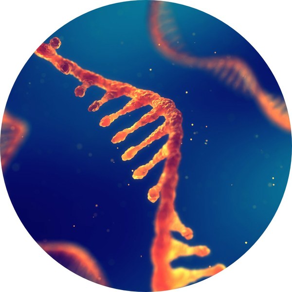 Webinar: "Non-coding RNA in health and disease"
