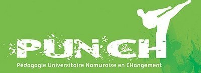 Midi TICe-PUNCH. Cohérence-programme et pédagogies actives: retour sur la réforme de programme Learning by doing