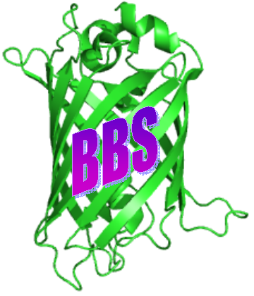 Third one-day symposium on Current trends in membrane protein biophysics