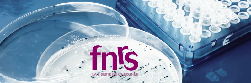 Meeting of the FNRS contact group "Molecular Bacteriology"