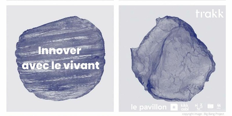 Conférence - Innover avec le vivant