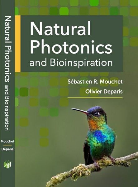 Natural photonics and Bioinspiration evening