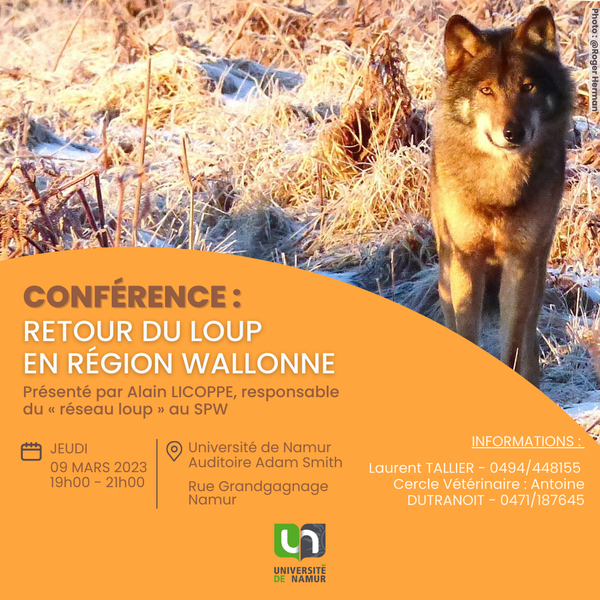 Conférence : Retour du loup en Région wallonne