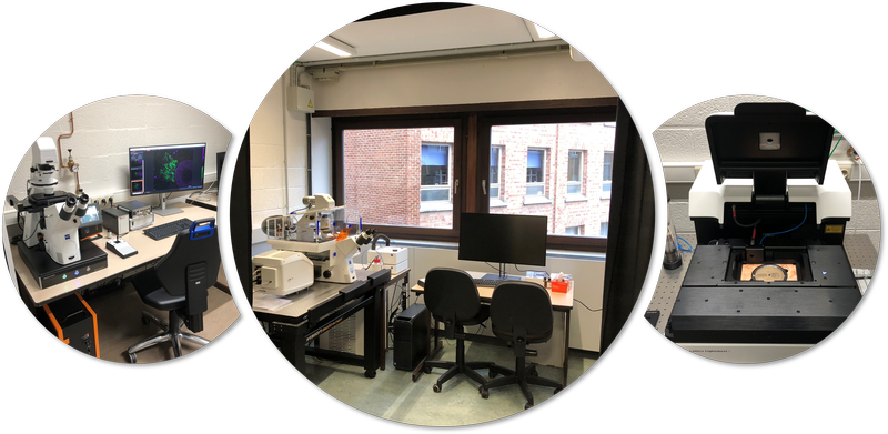 The UNamur presents its new bioimaging facility!