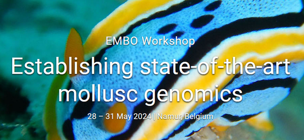 EMBO Workshop | Establishing state-of-the-art mollusc genomics