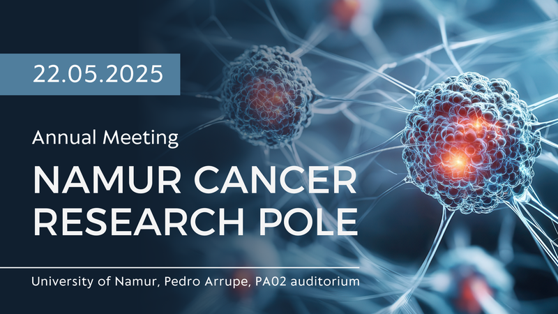 Annual meeting of the Namur Cancer Research Pole