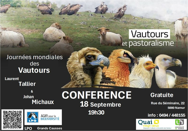 Conférence - Vautours et pastoralisme